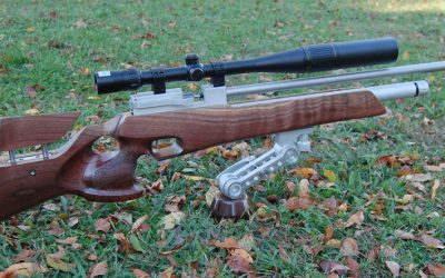 Air Weapons a Brief Guide to Safety